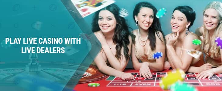 6z bet